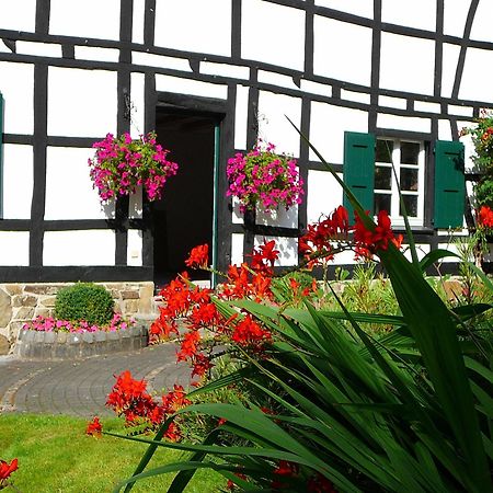 Gaestehaus Wahnenmuehle Erkrath Ngoại thất bức ảnh